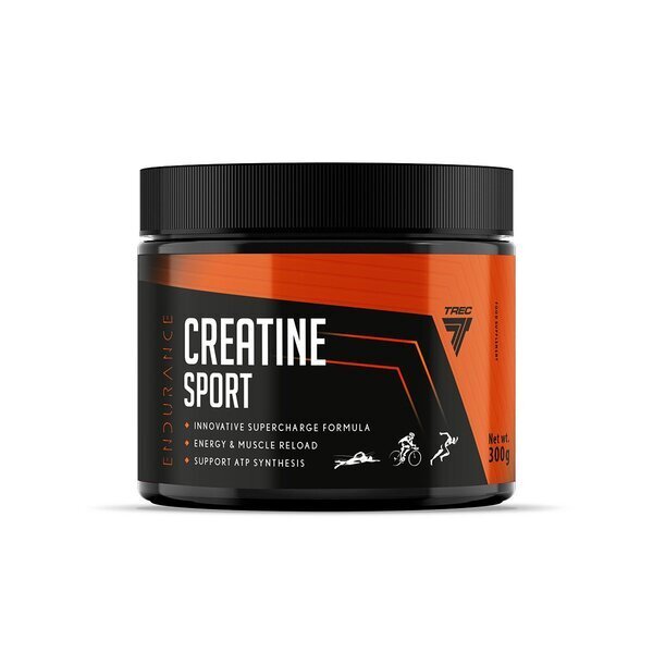 Endurance Creatine Sport, Fruit Punch - 300 grams
