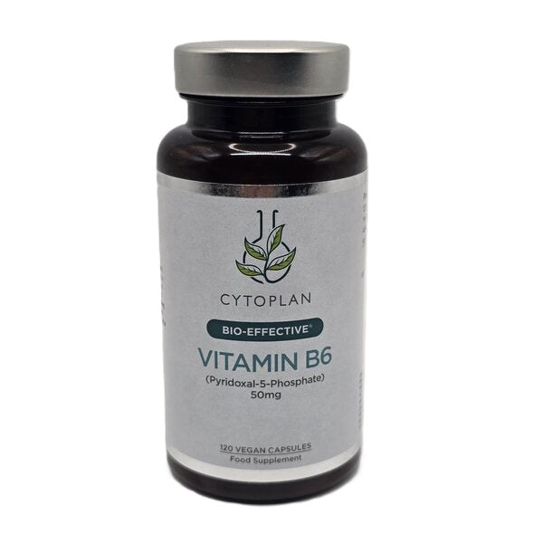 Vitamin B6 - 120 vcaps